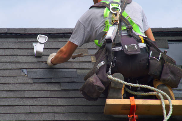 Best Asphalt Shingle Roofing  in Nome, AK