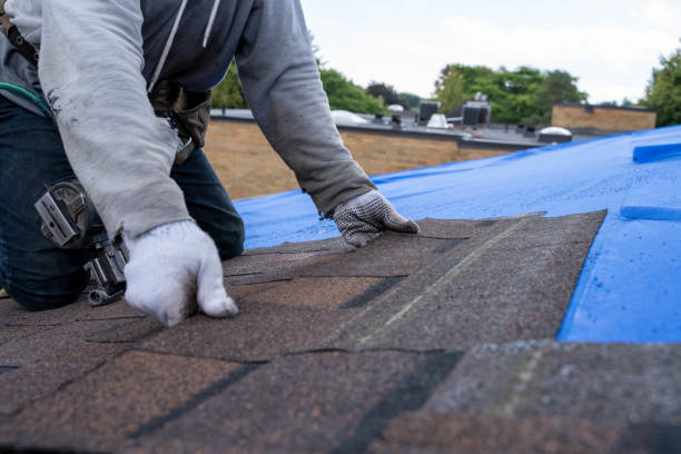 Best Roof Leak Repair  in Nome, AK