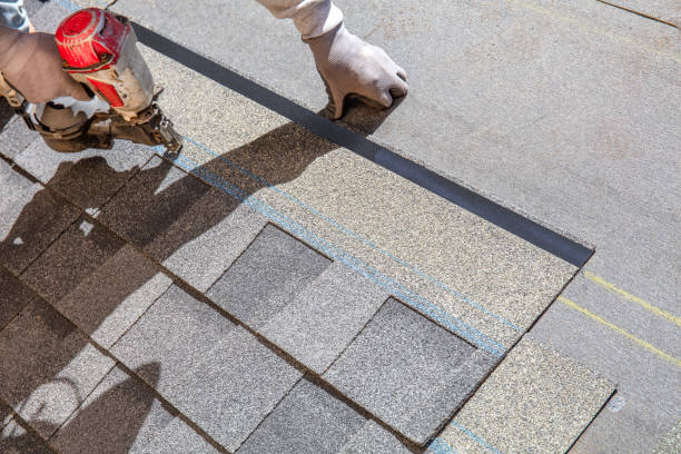 Best Roof Maintenance  in Nome, AK